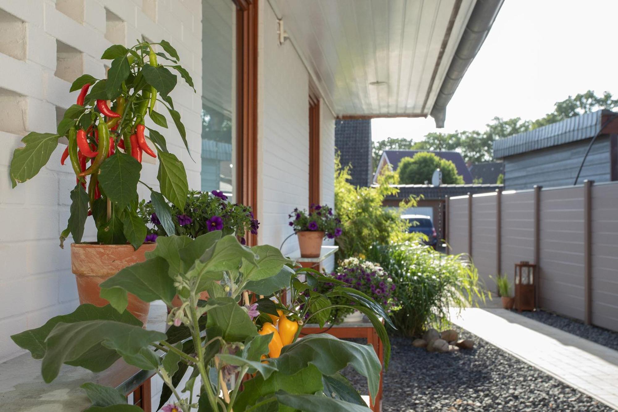 Ferienwohnung Aurora Winsen  Luaran gambar